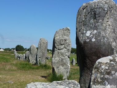 Alignements de pierres, Big Standing stones in lines, Mehnirs Carnac 22 juillet 2012 Morbihan Bretagne (2)