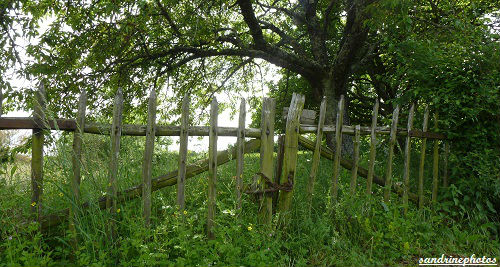 Ancienne entrée de jardin route de Queaux Bouresse Poitou-Charentes