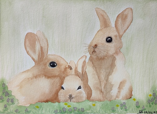 Aquarelle Trois petits Lapins Sandrine Berthault (7).jpg