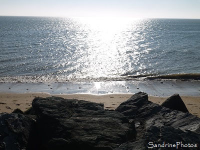 Balade au bord de l`Atlantique, Ponton et plage de La Tranche-sur-Mer 85, Au fil de l`eau, SandrinePhotos (11)