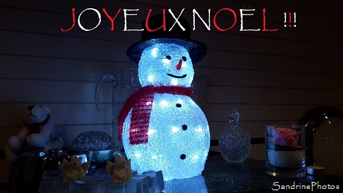 Bonhomme de neige lumineux, led, Joyeux Noël, Christmas, Décoration de Noël 2016, SandrinePhotos Esprit Nature, Bouresse (9)