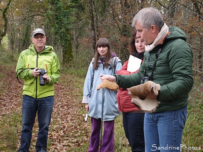 Bouresse, P`tite balade du Pays Montmorillonnais, 20 novembre 2016 SandrinePhotos Esprit Nature, Biodiversité en région Nouvelle-Aquitaine, Fédération (1 (1)