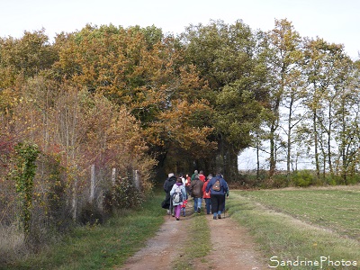 Bouresse, P`tite balade du Pays Montmorillonnais, 20 novembre 2016 SandrinePhotos Esprit Nature, Biodiversité en région Nouvelle-Aquitaine, Fédération (1 (4)