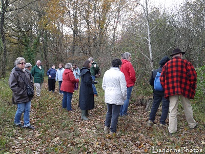 Bouresse, P`tite balade du Pays Montmorillonnais, 20 novembre 2016 SandrinePhotos Esprit Nature, Biodiversité en région Nouvelle-Aquitaine, Fédération (1