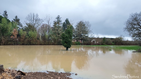 Bouresse sous les eaux, Quand la Dive sort de son lit (21)