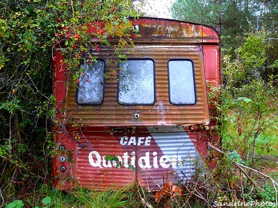 Camionnette de marchand de café abandonnée en forêt, Café quotidien, frais, fort, fin, Abandoned van of a coffee seller, lost in the forest, Bouresse, Poitou-Charentes-octobre 2012 (19)