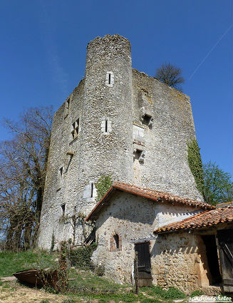 Château de la Rigaudière de Fan - Bouresse Poitou-Charentes