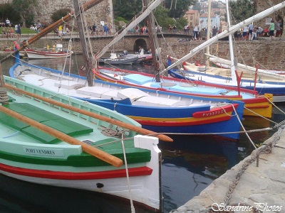 Collioure, Pyrénées orientales, Ville balnéaire de la côte Vermeille, Sud de la France (8)