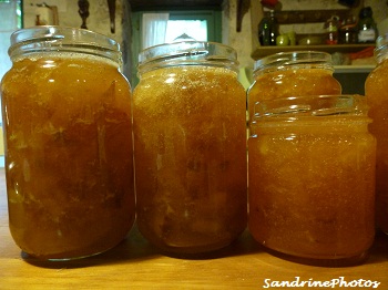 Confiture de mirabelles, Gourmandises,Mirabelle plum Jam, Marmelade, Delicacies, august 2012 Bouresse, Poitou-Charentes (1)