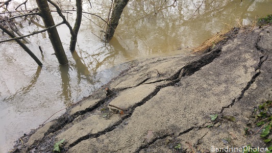 Couche de limon déposée par la Vienne sur la rive, La Planchette inondée, Queaux 86