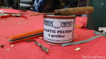 Démonstration de greffe sur table avec les Croqueurs de pommes de la Vienne. Mastic Pelton à greffer, Greffes effectuées par Francis Mignière, Médiathèque de Verrières 86 Sud-Vienne (31)