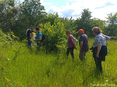 Fête de la Nature 2019, Le Verger, refuge LPO Bouresse (2)