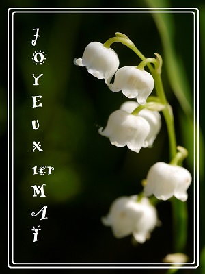 Fête du 1er mai Muguet 2020, Le Verger (5)