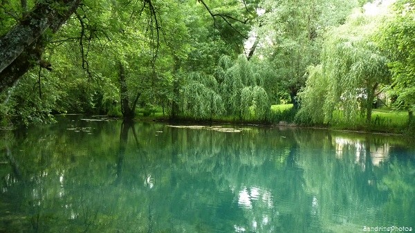 Fontaine du Puy Rabier, Eaux bleues d`un gouffre, Légende de la fosse au Diable, Magné dans la Vienne, Poitou-Charentes (16)