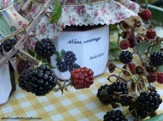 Gelée de mres sauvages faite maison aot 2011 (7)