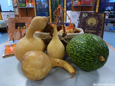 Gourdes pélerines et courge du Siam, Cucurbitacées, Potirons (5)