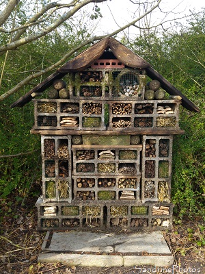 Hôtel à insectes, Abri pour les petites bêtes du jardin, Le Verger, Refuge LPO Bouresse, Biodiversité du Poitou, 86 (95)