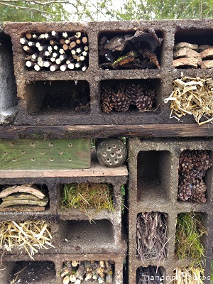 Hôtel à insectes, abri pour petites bêtes du jardin, Le Verger, Refuge LPO Bouresse 86 (20)