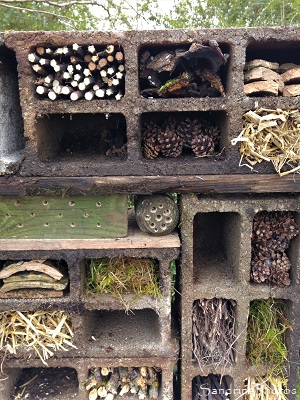 Hôtel à insectes, abri pour petites bêtes du jardin, Le Verger, Refuge LPO Bouresse 86 (20)