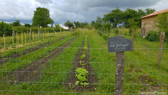 Jardin Potager, Vegetables, Garden, Refuge LPO le Verger, Bouresse, Sud-Vienne 86 (8)