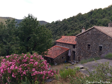 La Bergerie, Gîte de France de Fougairolles, Saint-Martial, Gard 30, SandrinePhotos Esprit Nature