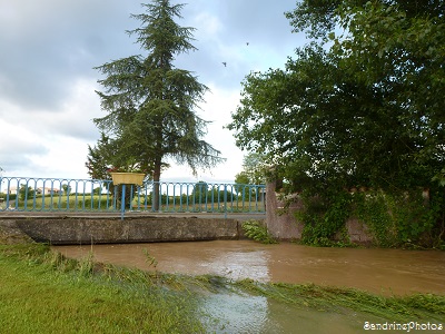 La Dive déborde à Bouresse, Poitou-Charentes, 19 juin 2013 (7)