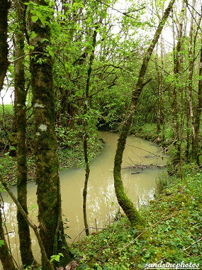 la Dive Cours d`eau passant par Bouresse Poitou-Charentes (1)