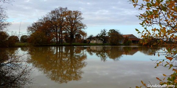 La Folie-Lieu-dit de Bouresse, petit village du Poitou-Charentes dans la Vienne