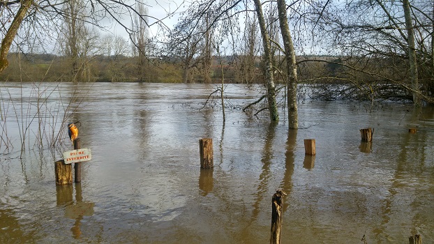 La Planchette inondée, 3 février 2021, Crue de la Vienne, Poitou-Charente, Nouvelle Aquitaine (4)