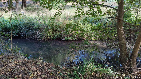 Le Crochet, Cours d`eau patrimonial, Queaux, Confluent de la Vienne 86