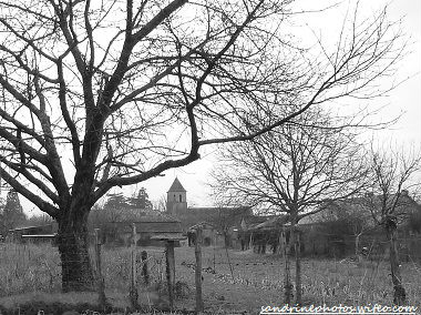 L`église de Bouresse vue du Chemin du Petit Bois