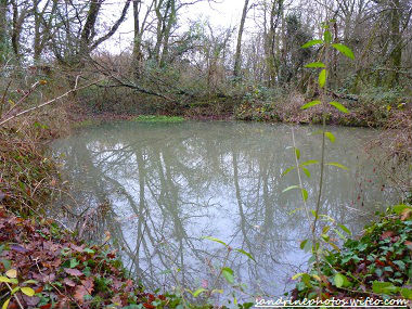 Légende du Bois de la Font de la Feue Bouresse Poitou-Charentes