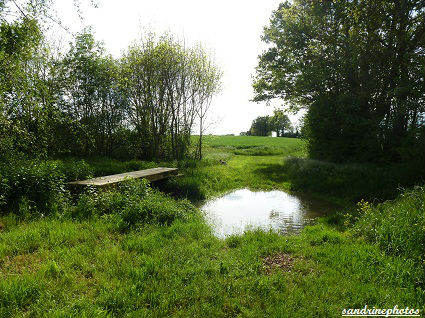 le Poiroux Petit pont au dessus de la Dive Bouresse Poitou-Charentes(14)