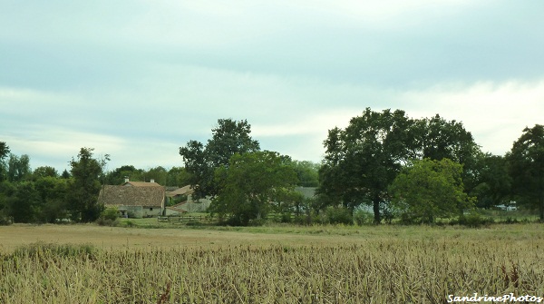 Le village de la Rigaudière de Villemblée, Bouresse, Poitou-Charentes 2012