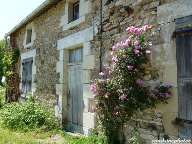 Lieu-dit de l`Epinet-Bouresse Poitou-Charentes (1)