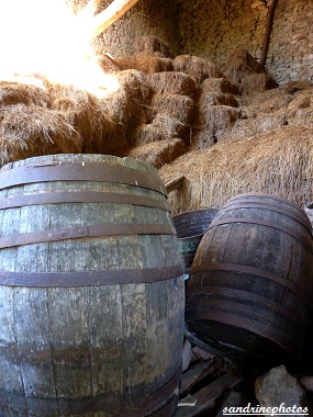 Lieu-dit du Coudret à Bouresse Poitou-Charentes (31)