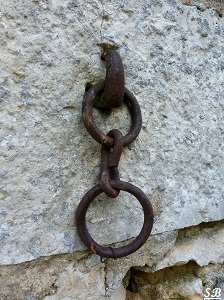 Lieu-dit du Coudret à Bouresse Poitou-Charentes (31) (1)