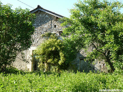 Lieu-dit du Coudret à Bouresse Poitou-Charentes (31) (3)