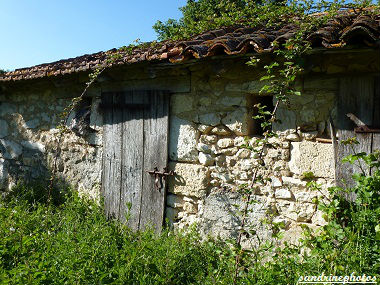 Lieu-dit du Coudret à Bouresse Poitou-Charentes (31) (4)