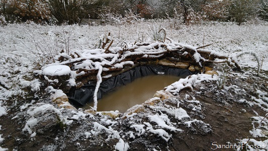 Mare, Jardin sous la neige, février 2018, Refuge LPO Le Verger, Bouresse, Poitou (39)