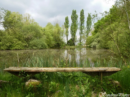 Mare de la Marnière, La Marnière, lieu-dit de Bouresse, Poitou-Charentes, SandrinePhotos (2)