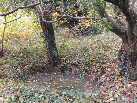 Mare de la Planchette, Point d`eau pour la faune sauvage, Refuge LPO Queaux, Sud Vienne 86 (5)