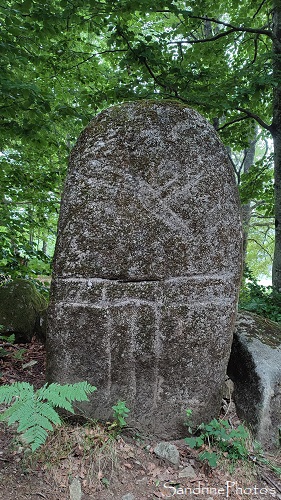 Menhir gravé, Granite, Balade autour du gîte, Secun haut, Tarn (4)