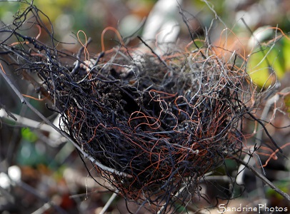 Nid d`oiseaux en fibres synthétiques, Jardin, le Verger, Bouresse (30)