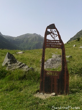 Orlu, Réserve naturelle de faune et de flore, Ariège, Paysages de France, Pyrénées ariégeoises, SandrinePhotos Esprit Nature juillet 2016 (76)