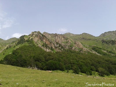 Orlu, Réserve naturelle de faune et de flore, Ariège, Paysages de France, Pyrénées ariégeoises, SandrinePhotos Esprit Nature juillet 2016 (78)