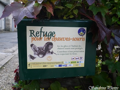 Panneau de protection et refuge pour les chauves-souris, SFEMP, Convention Poitou-Charentes, Bouresse (1)