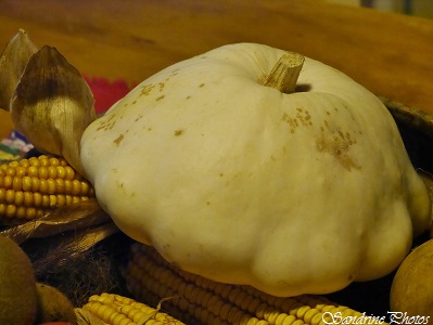 Pâtisson, Pattypan squash, white squash, Citrouilles et Cucurbitacés, légumes du jardin, Vegetables of the garden, SandrinePhotos Esprit Nature (5)