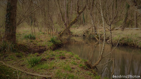 Paysage, prairie humide le long du Crochet, ruisseau, l`Huilerie, Queaux (18)