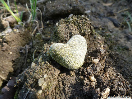 petit coeur de granite un coeur sur la main